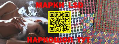 стаф Краснодар