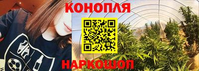 стаф Краснодар